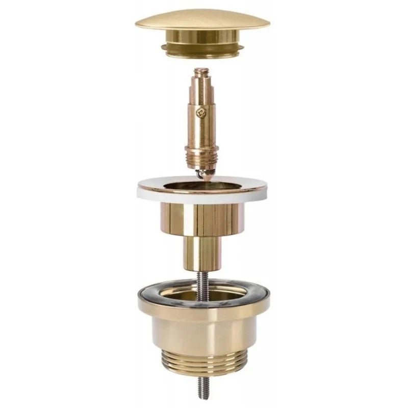 Tappo Rea Gold Antique