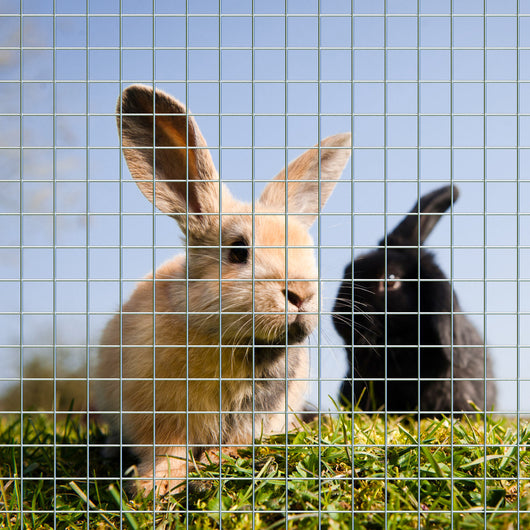 Rete metallica per voliera recinzione Acciaio zincato Rotolo 1m x 25m Spessore 0,75mm Maglie 19x19mm