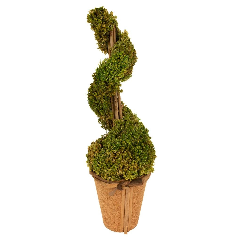 Vaso fiori secchi 12x12,5x37h