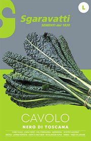 SEMI PER ORTAGGI E VEGETALI cavolo nero di Toscana 20 pezzi  - SGARAVATTI