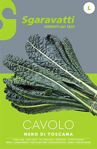 SEMI PER ORTAGGI E VEGETALI cavolo nero di Toscana 20 pezzi  - SGARAVATTI