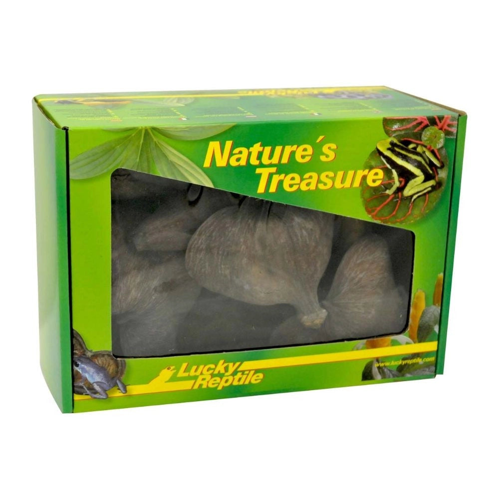 Lucky Reptile Nature‘s Treasure Deco Box - set di decorazioni per terrari