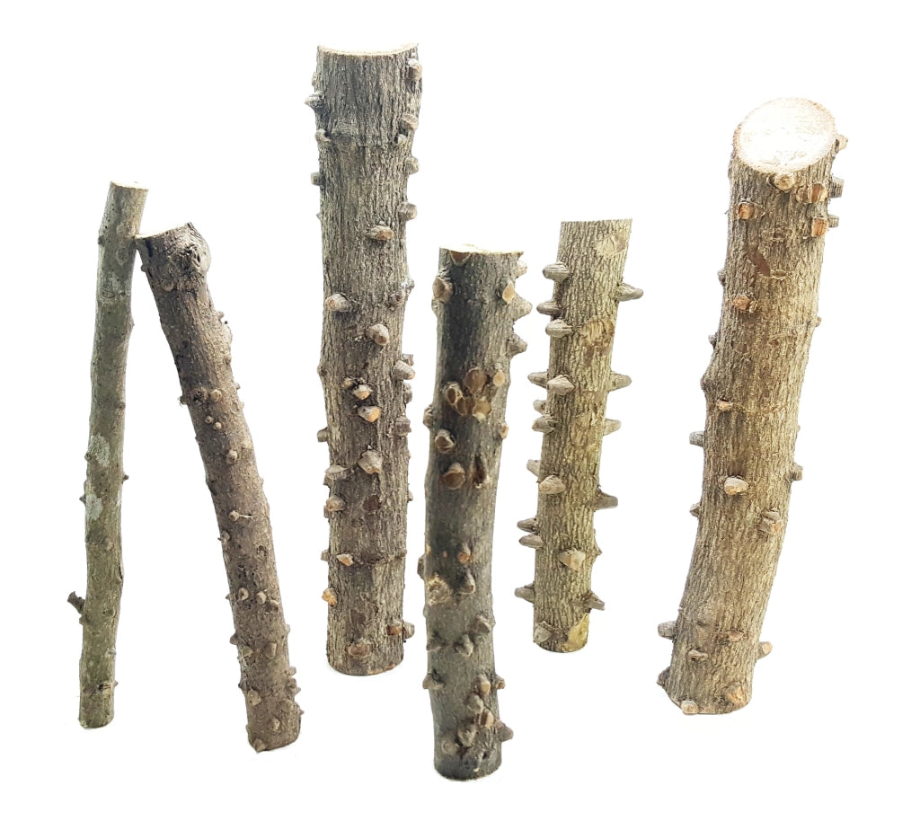 DecorLine Eyes Wood Foto Indicativa - Legni decorativi naturali Modello: S (20-30cm)