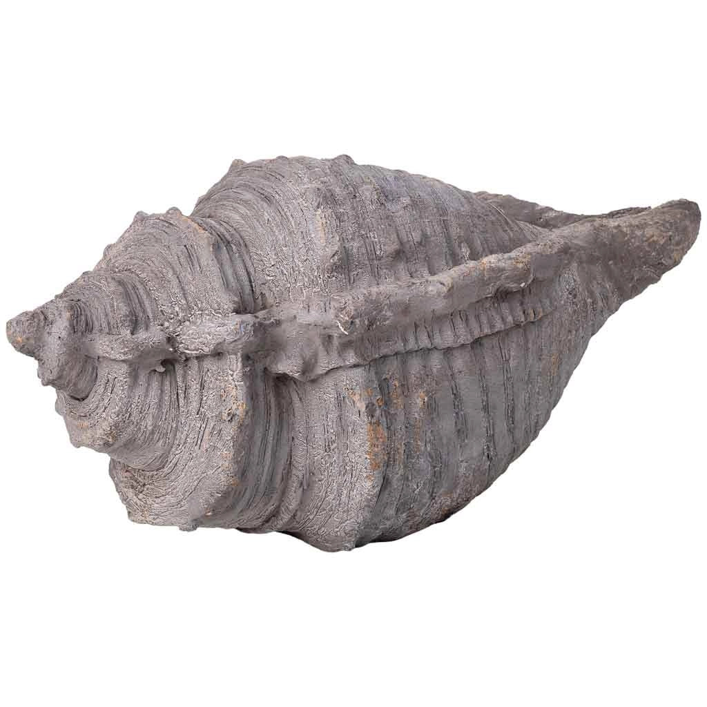Fioriera a conchiglia color pietra, 65x37x32h cm