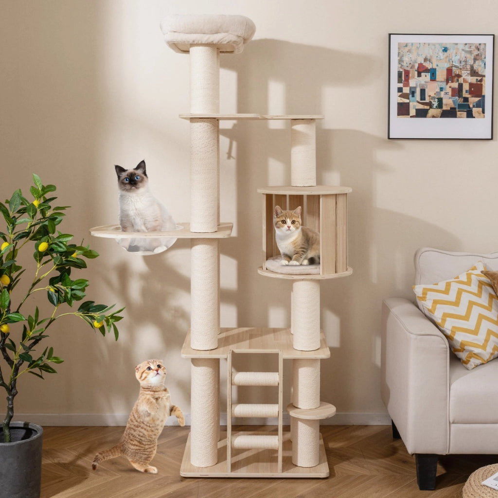 Tiragraffi per gatti 185 cm plywood torretta con condo per gattini, Tiragraffi per gatti posto d¡¯osservazione Legno naturale-Alberi Tiragraffi