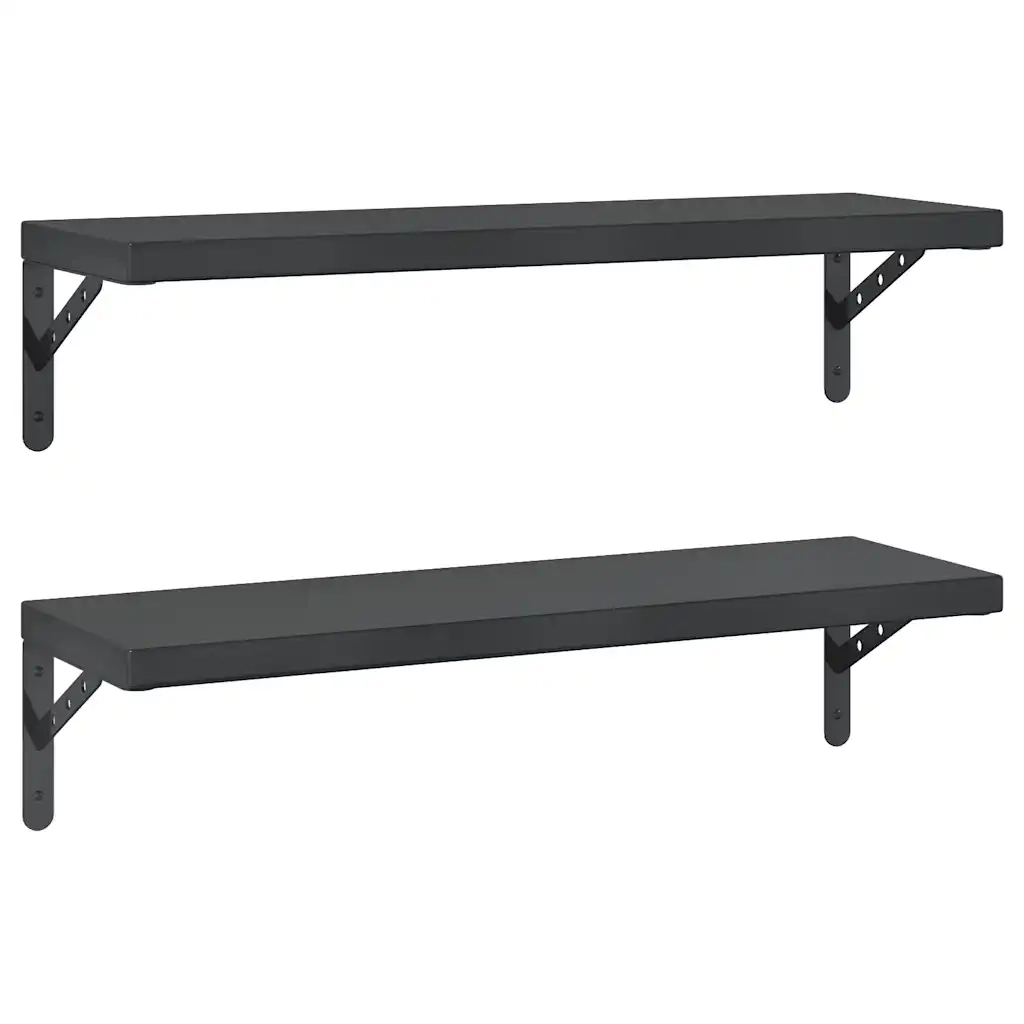 Mensole a Muro 2 pz 75x23,5 cm Nero in Acciaio Inossidabile 3214516
