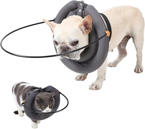 Collare per ciechi cani Elizabethaanse, dispositivo di guida, prevenzione urti collare