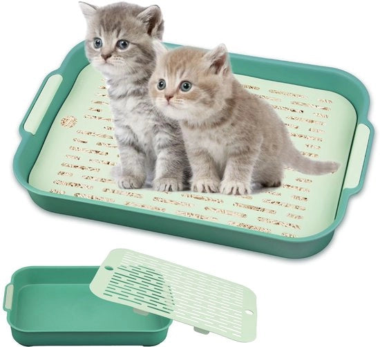 Toilet per coniglio, grande cassetta per gatti, toilet per coniglio, addestratore per piccoli animali, cassetta per piccoli animali, conigli e cavi (verde, grande)