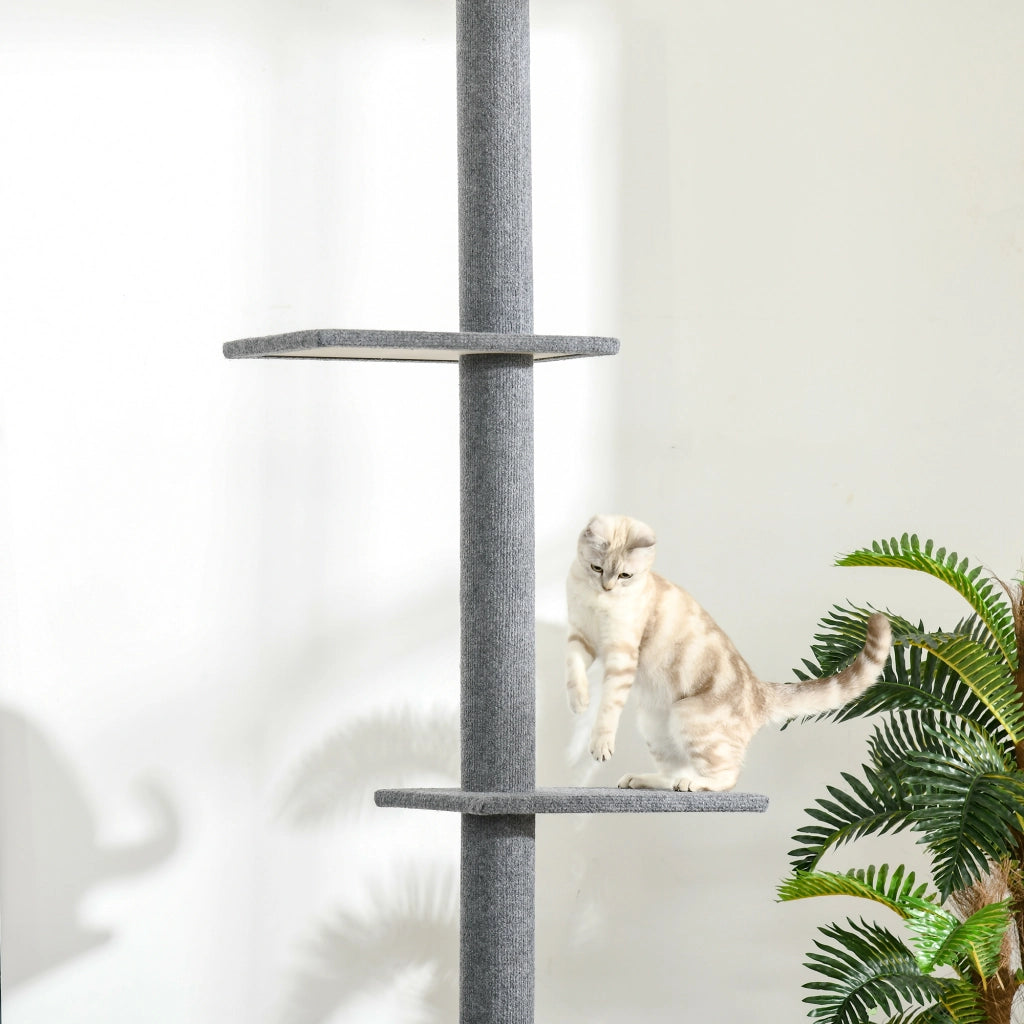 Tiragraffi regolabile da soffitto 228-260 cm, albero per gatti grigio con 4 piattaforme