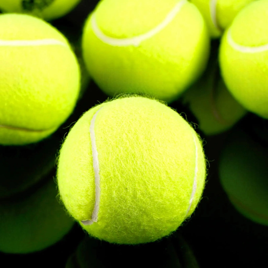 Set 3 palle da tennis gialle padel gioco per animali allenamento racchetta 06488