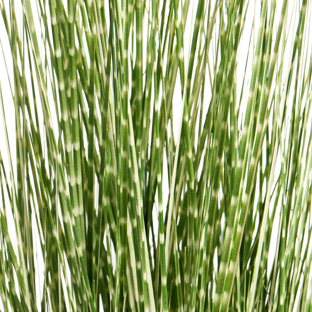 Pianta artificiale in vaso con erba verde e vaso in plastica nera, erba zebra da 120 cm, accessorio decorativo per interni