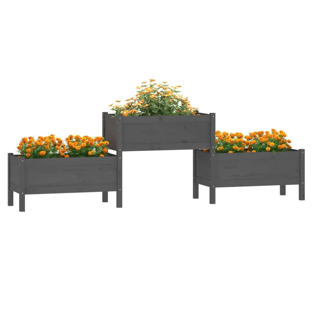 Fioriera | Cassetta per fiori | Vaso Grigia 245,5x44x75 cm in Legno Massello di Pino