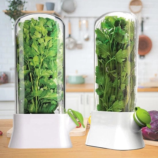 Contenitore per erbe da 2 pezzi per frigorifero, 27 * 13 CM, Pod per sapore di erbe, Conservazione crisper per la cucina, Contenitore di conservazione per erbe, Migliora la conservazione a lungo termine, Contenitore per erbe per coriandolo