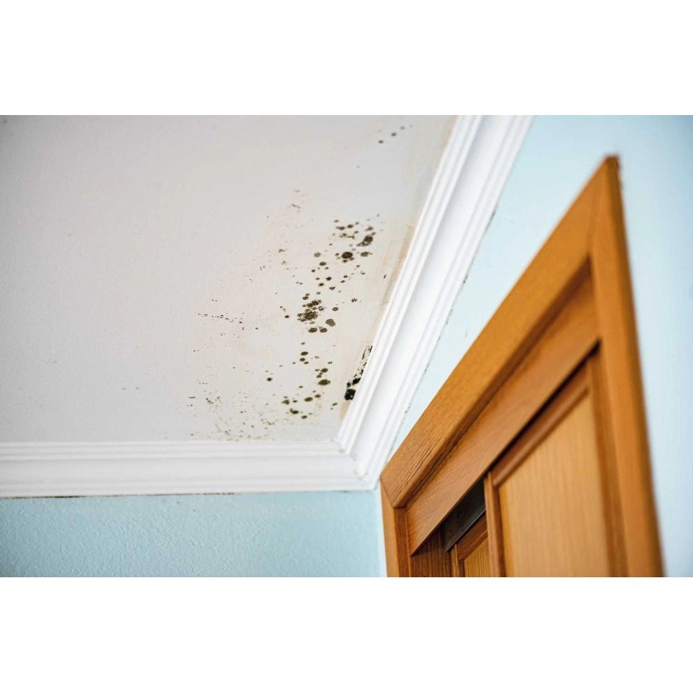 Tixe pareti vive 14lt pittura bianca opaca anticondensa alto spessore con antimuffa lavabile per interni