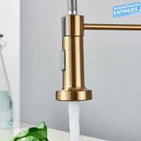 Bernd | Rubinetto gastronomia oro spazzolato molla | Caldaia cucina rubinetto acciaio inossidabile |miscelatore ruotabile 360° Bassa pressione 3 vie