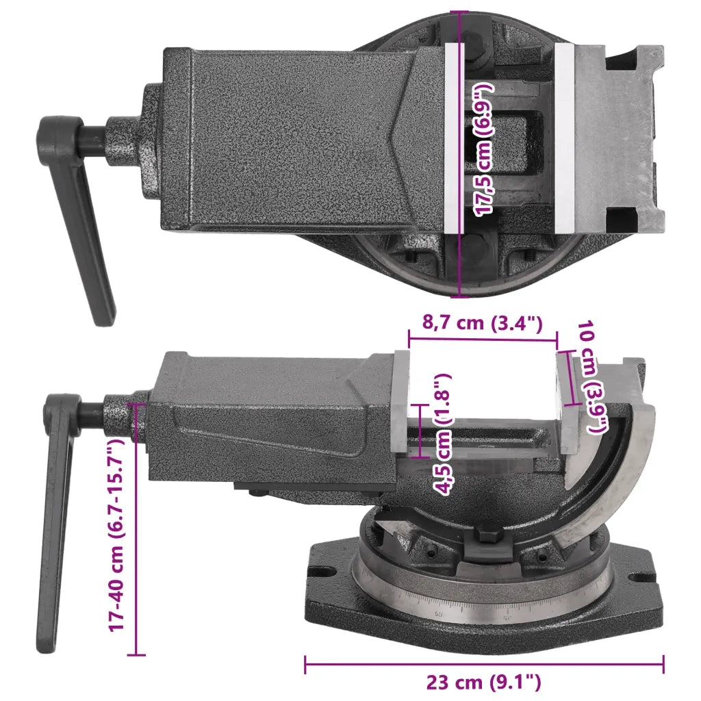 Morsa Inclinabile a 2 Assi 100 mm CFW8814140