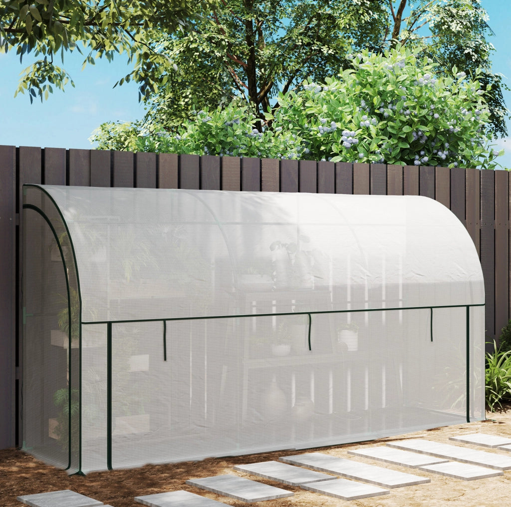 Serra da parete con porta avvolgibile e copertura UV 300 x 80 x 157 cm