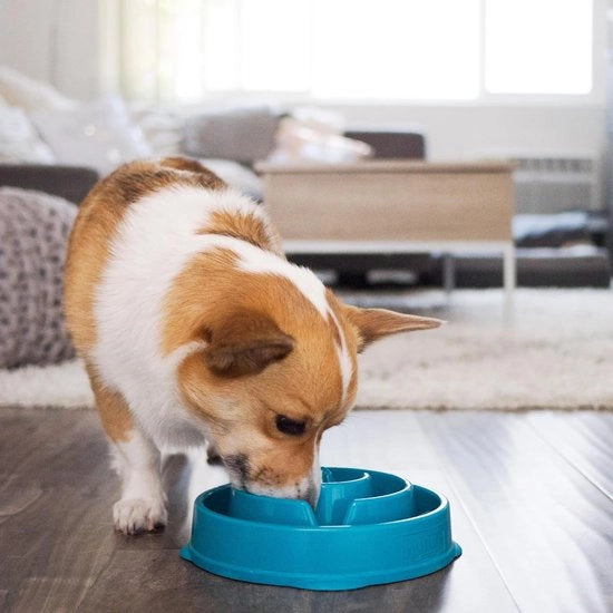 Alimentatore Lento per Cani con Bocchetta Interattiva per Prevenire lo Sviluppo dell'Obesità, Dimensione S, Blu Turquesa