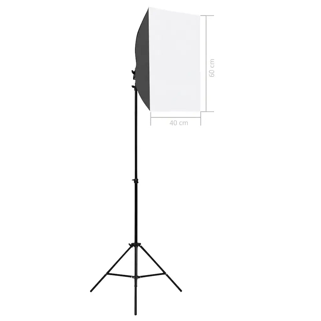 Luci Professionali da Studio 2 pz 40x60 cm in Acciaio Nero CFW7330087