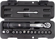 Chiave a Torque 1-4 pollici 15 pezzi con Chiave Torque da 2-24 Nm piccola Kit di Attrezzi per Motocicletta