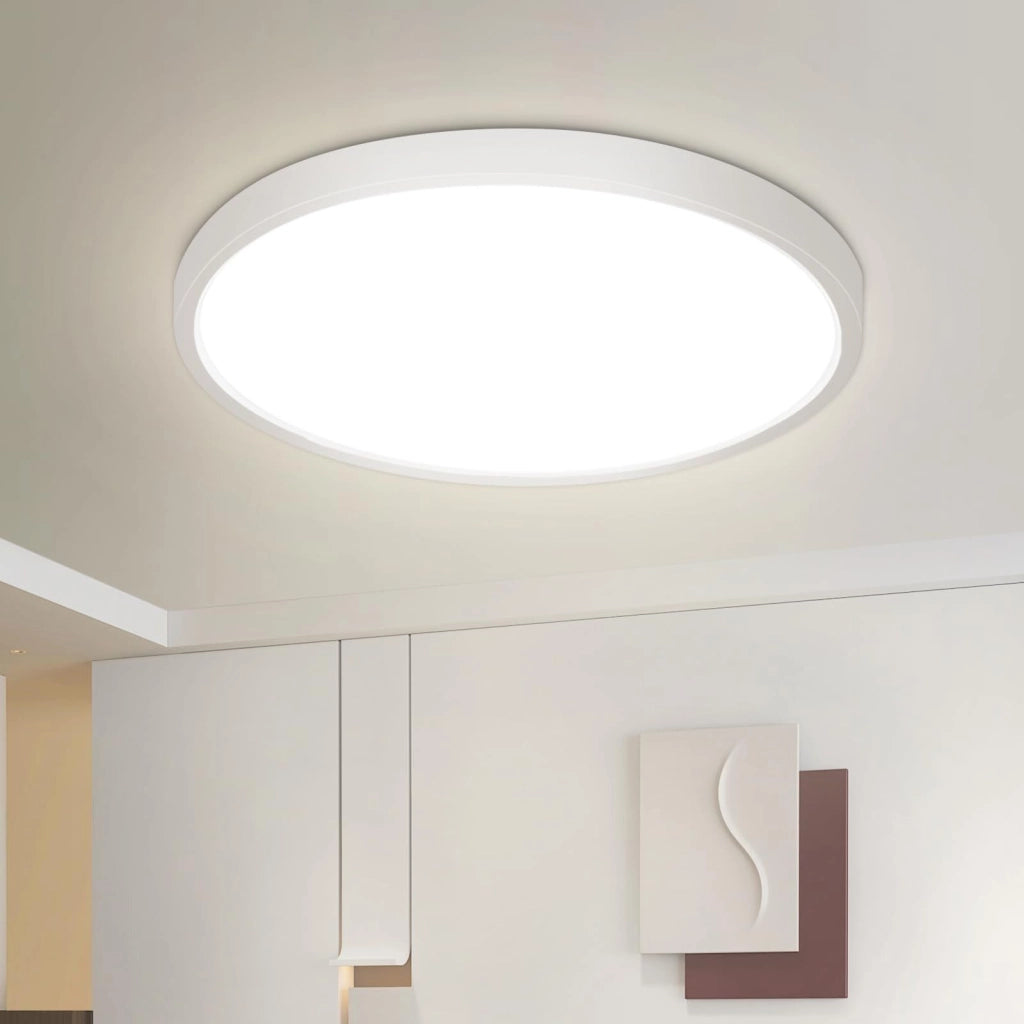 ZMH Lampada da soffitto LED Neutro 22cm Illuminazione Pannello per Camera da Letto Corridoio Soggiorno
