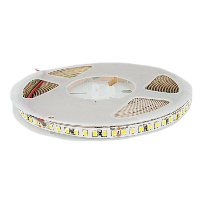24V Bobina Striscia Led Da 10 Metri IP20 6000K 12W/M 1600 smd 2835 2000 LM/M Passo 8mm