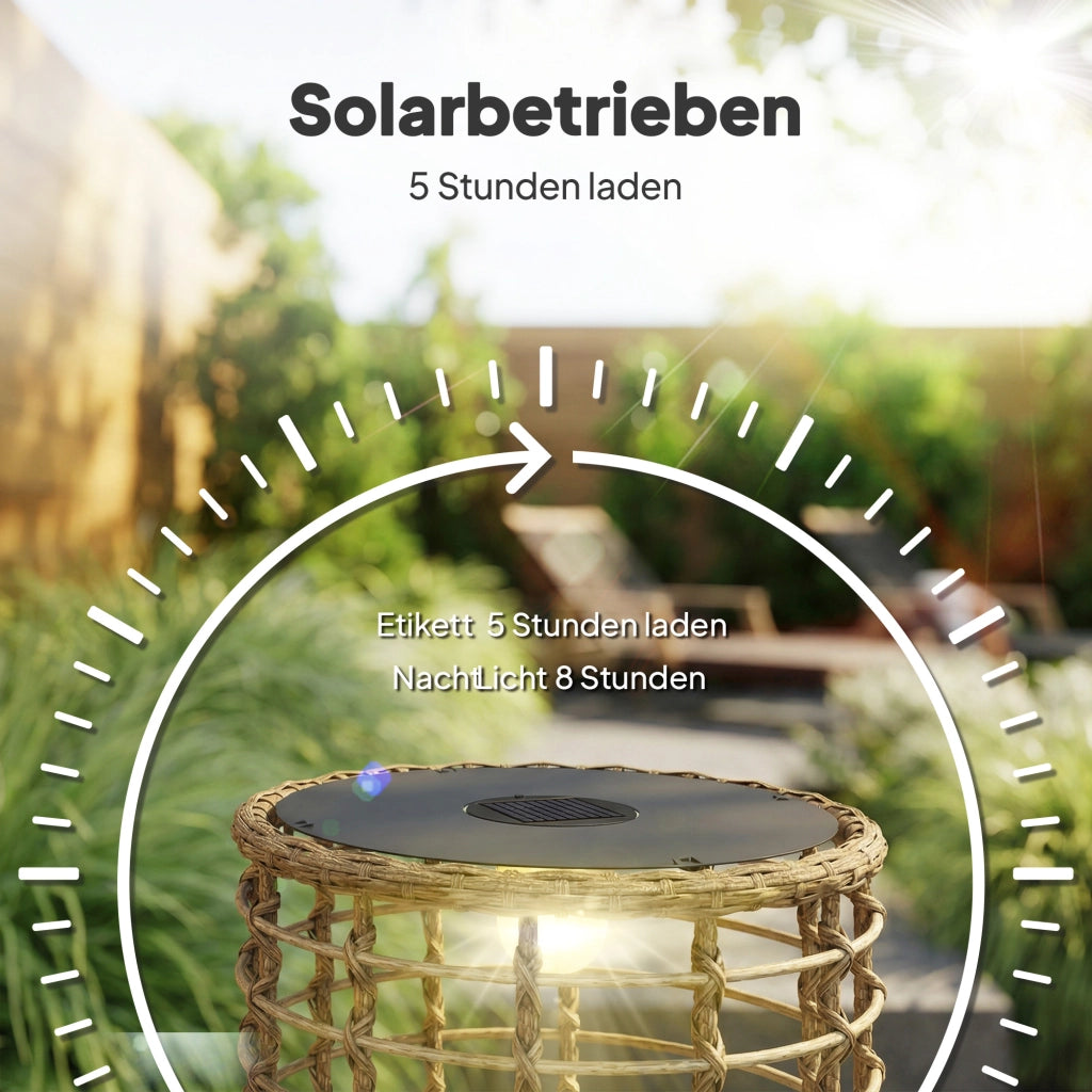 Lampada da Giardino Solare 2 Pezzi Rattan con Sensore Luce LED ¨C zephmum ¨C Grigio 2xIP44