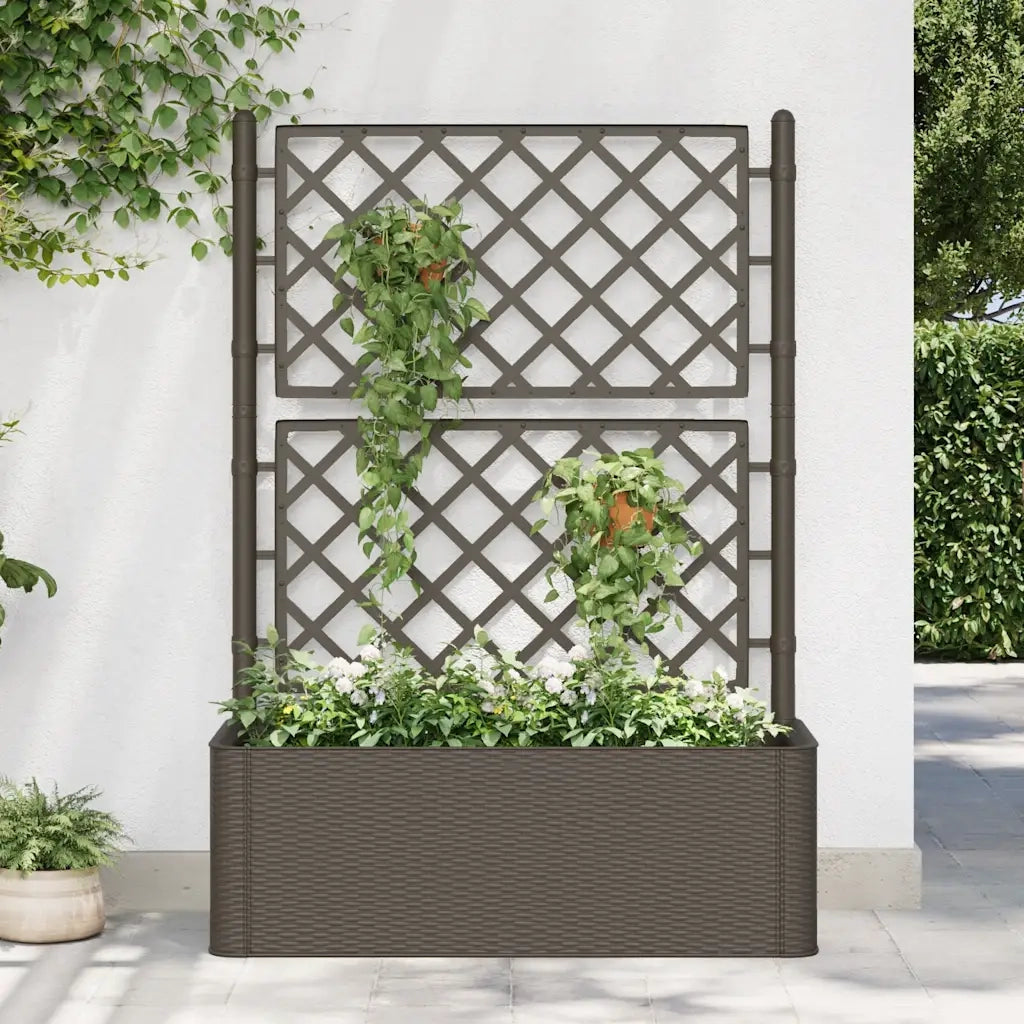 Letto Rialzato da Giardino con Graticcio e Irrigazione Moca 313968