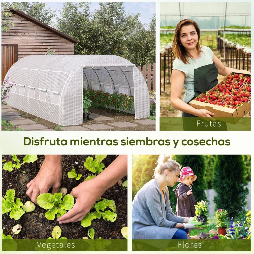 Serra da Giardino Tunnel 6x3x2 m ¨C zephmum ¨C Bianco con 12 Finestre a Rete