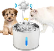 Piscina per animali - Piscina per gatti - Piscina per acqua - Vasca da bere - Piscina per cani - Giocattolo per gatti - Gatto