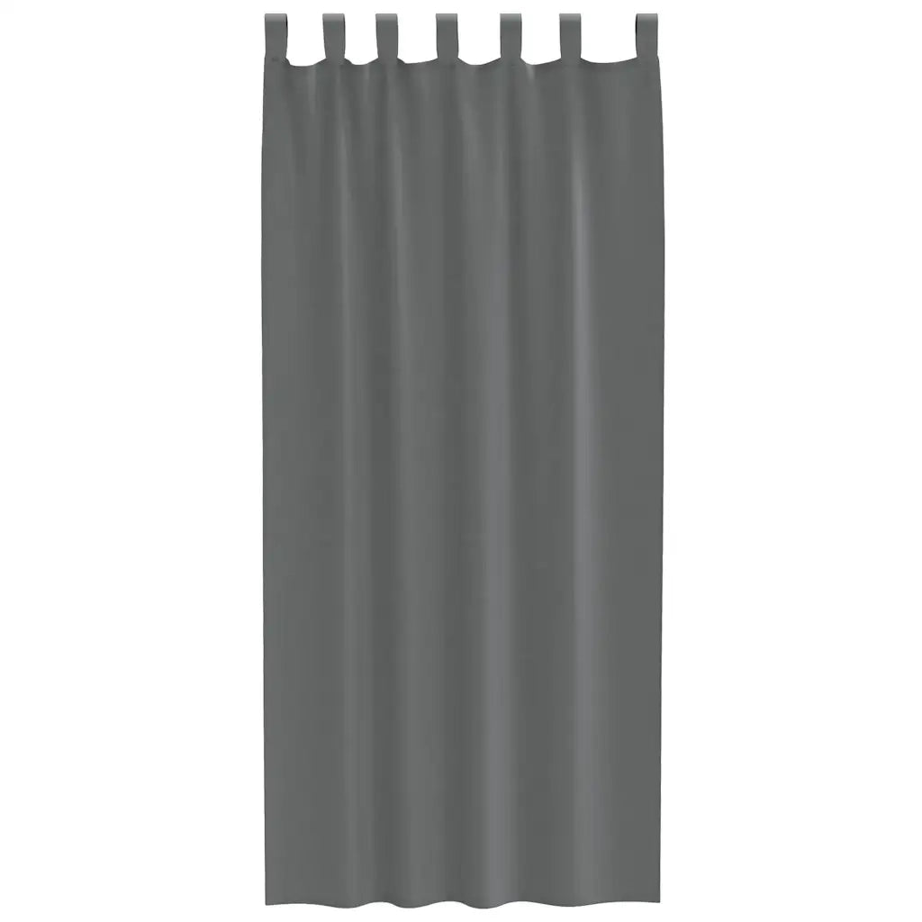 Tende in Voile con Passanti 2 pz Grigio Scuro 140x245 cm
