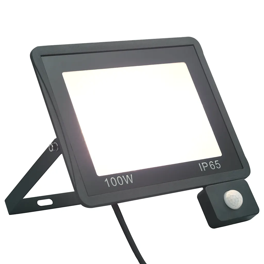 Faretto a LED con Sensore 100 W Bianco Freddo