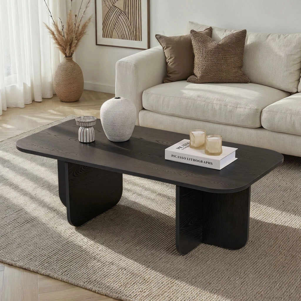 Nomeva, Tavolino da Salotto Forma Rettangolare, 120x60x41h cm Nero Frassinato