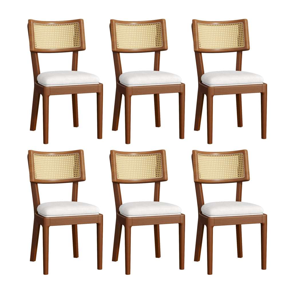 Sedia da Pranzo Set da 6 con Schienale in Rattan e Seduta Imbottita in Legno Massello Noce