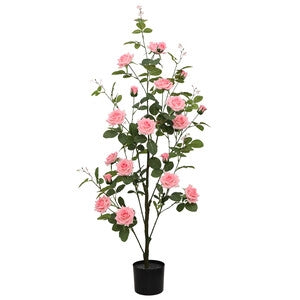 C ROSA 130 CM- 2,0 pz
