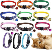 Collare riflettente per gatti con badge - Set da 10 pezzi in dieci colori - Adatto per cuccioli, conigli e gattini