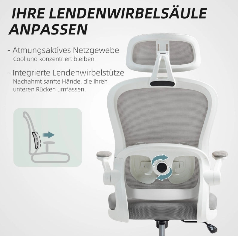 Sedia da ufficio ergonomica grigia con schienale in rete