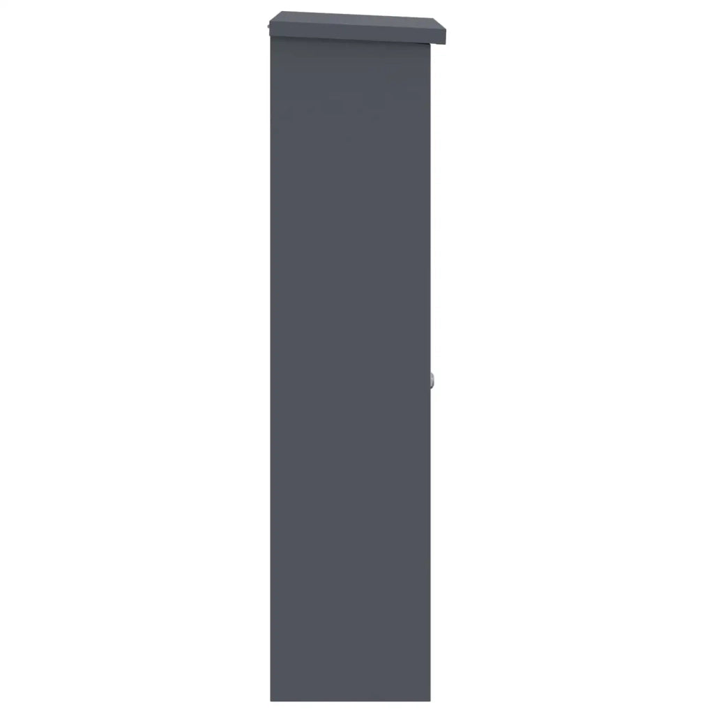 Cassetta per pacchi Antracite 44,5 x 29 x 110,5 cm Acciaio CFW1760494