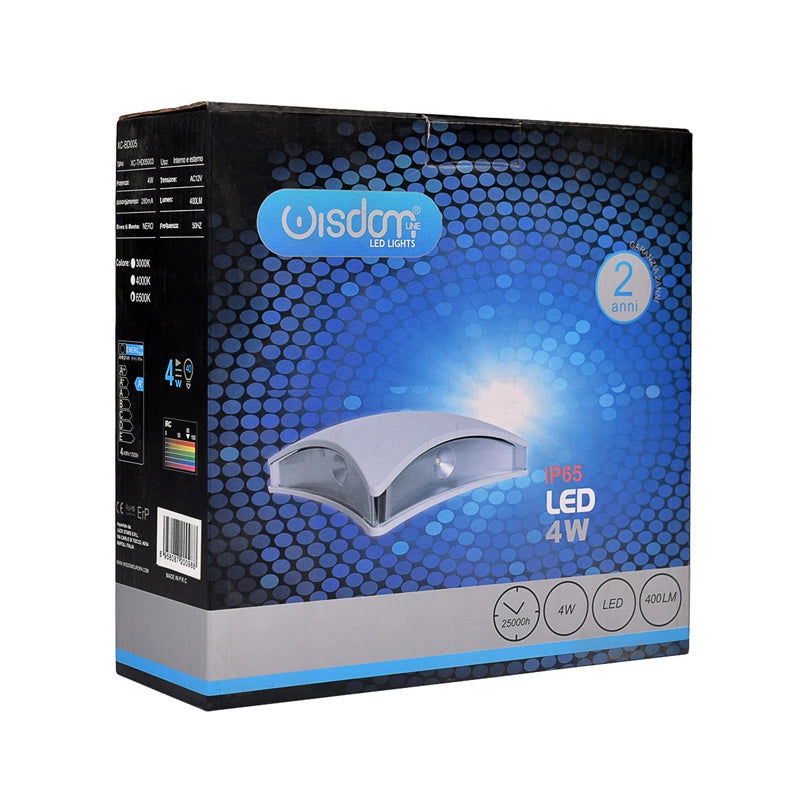 APPLIQUE LED DA ESTERNO IP65 4W BIANCA A LUCE FREDDA 6500K - DESIGN MODERNO QUADRATO STONDATO PERFETTA PER ILLUMINAZIONE INTERNA ED ESTERNA