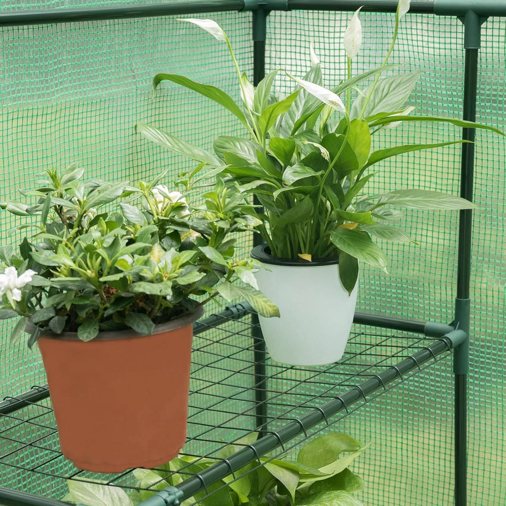 Serra da Giardino con Telo in PE Vivaio per Piante Fiori da Balcone e Terrazzo Verde