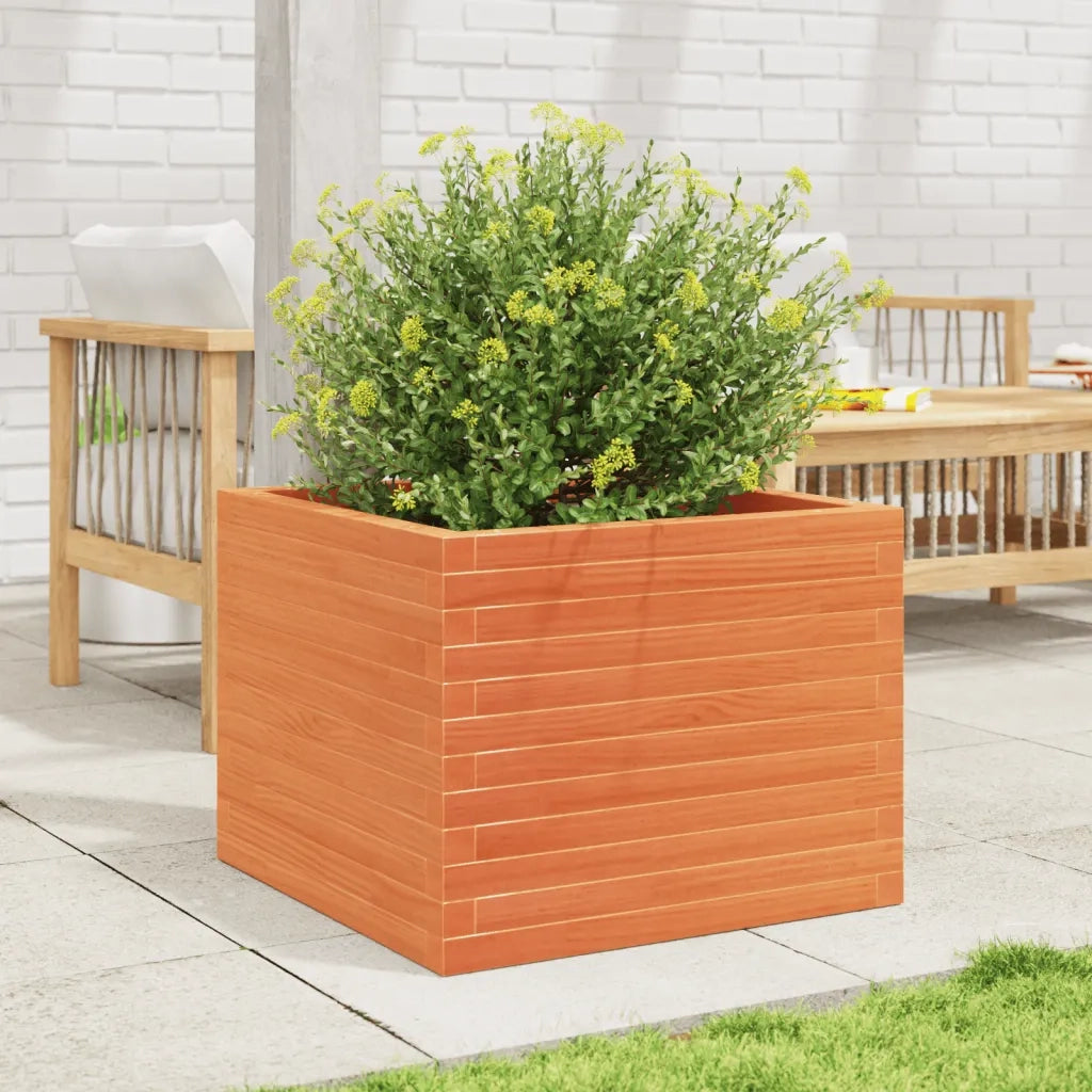 Fioriera | Cassetta per fiori | Vaso Giardino Marrone Cera 60x60x46 cm Legno Massello Pino