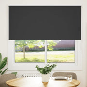 Tenda a Rullo Oscurante 160x150 cm Larghezza Tessuto 156,6 cm 4010880