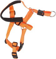 Haltere per Cani - Fermare il Padrone - Halter per Testa di Cane - Cintura di Sicurezza - Escursione all'Aperto - Arancione