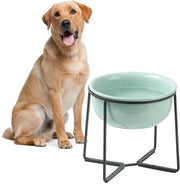 Ciotola per cani in ceramica alta con base metallica - ciotola alta per cibo o acqua - ideale per cani di taglia media e grande - 1400 ml