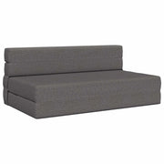 Divano letto | Sof¨¤ letto | Letto singolo Pieghevole Grigio Chiaro 152 x 86,5 x 60 cm