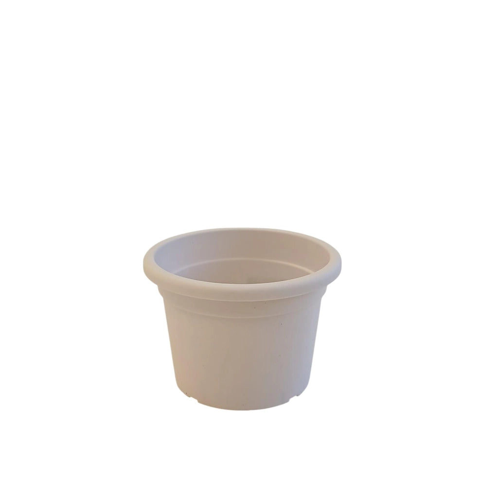 VASO CILINDRO COLOR D.16XH11,5CM ASSORTITO