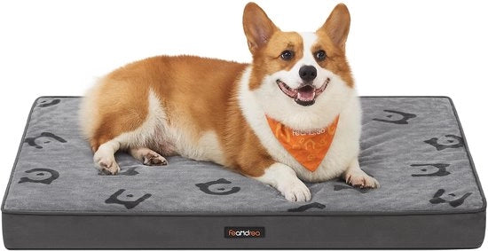 Letto per cani, cuscino per cani lavabile, materasso per cani rimovibile, impermeabile, 76 x 51 x 8 cm, taglia M, per cani piccoli e mini, colore grigio perla PGW241G01