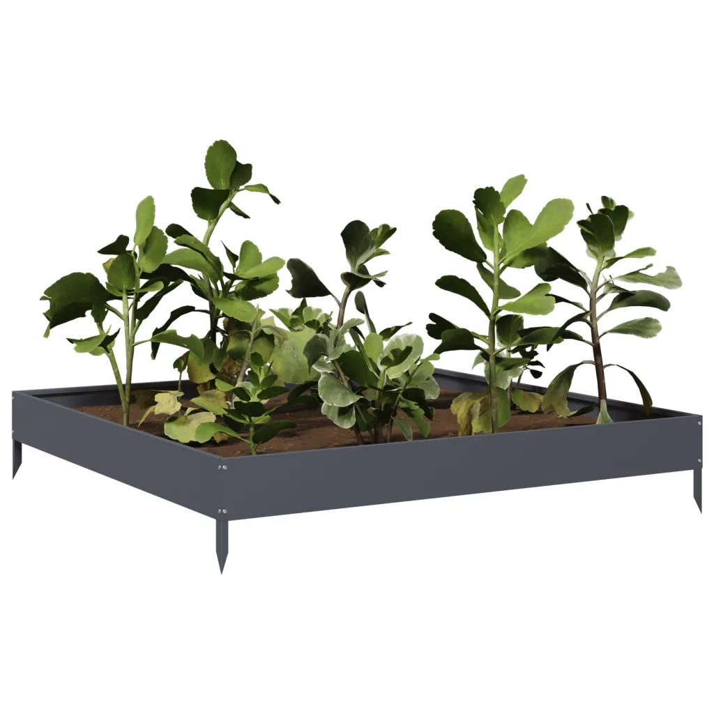 Fioriera | Cassetta per fiori | Vaso Rialzata da Giardino Antracite 100x100x18,5cm Acciaio
