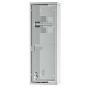 Armadio Farmacia 2 Ripiani 3 Livelli ¨C Minimal ¨C 20x12x58 cm Porte Vetro Temperato Acciaio Inox