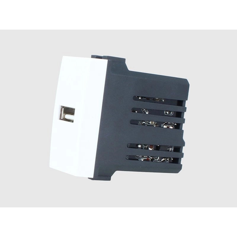 ETTROIT Modulo Presa Caricatore USB 5V 2,1A Colore BIANCO Compatibile Con Bticino Living Light